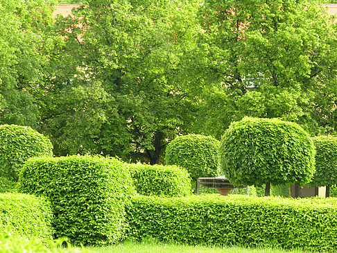 Hofgarten Fotos